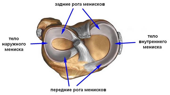 Фиброзная дисплазия костей черепа