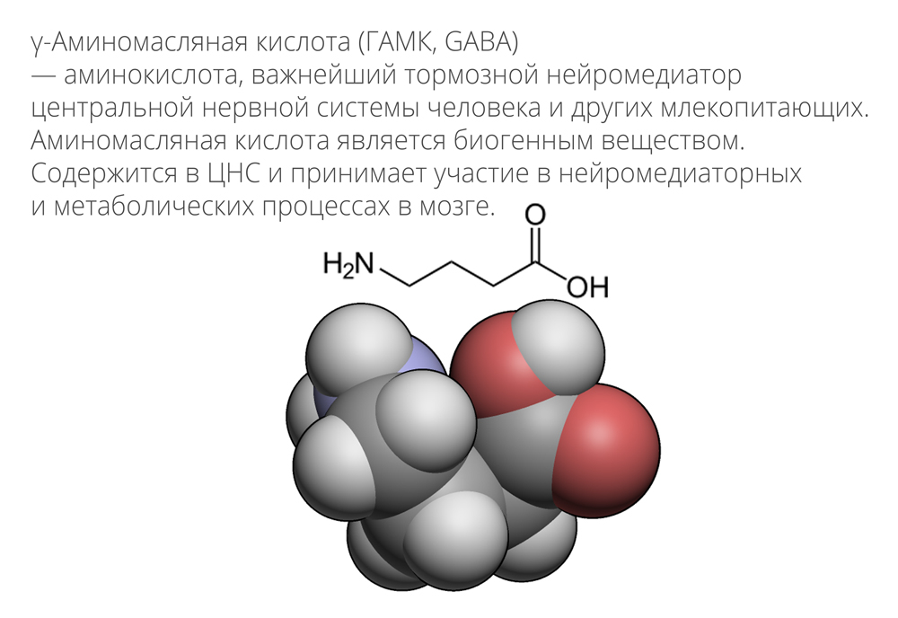 Строение γ-аминомасляной кислоты