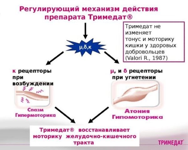 Механизм действия препарата